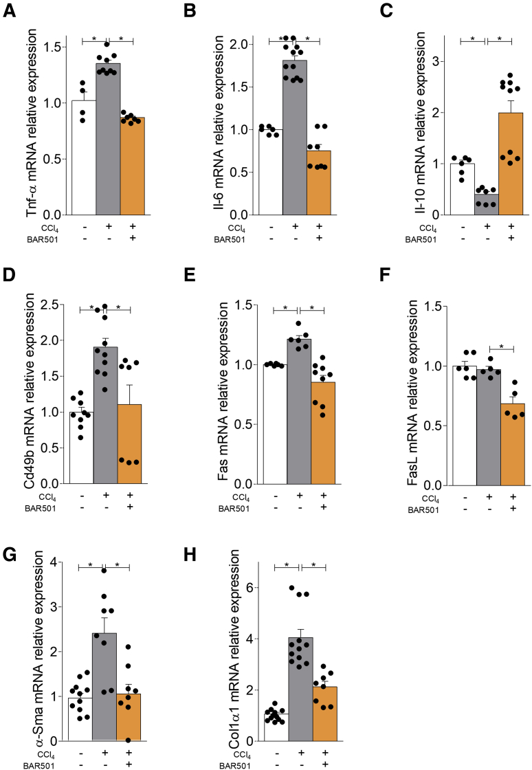 Figure 13