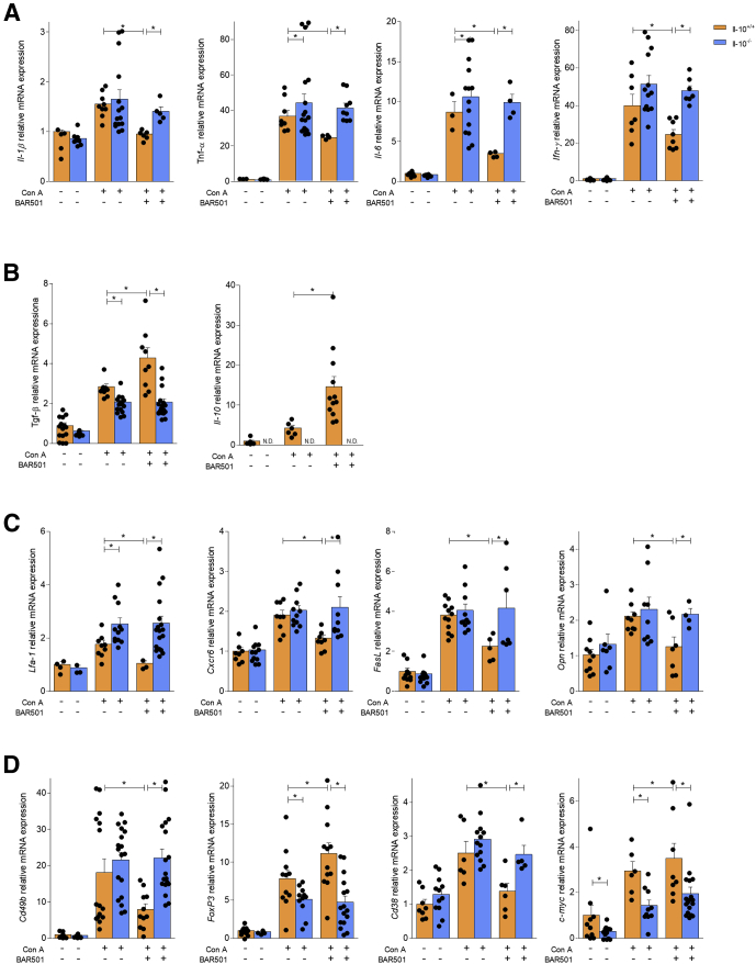 Figure 11