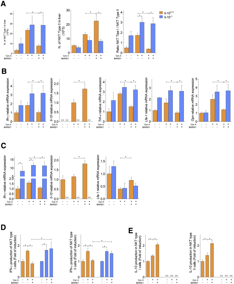 Figure 12