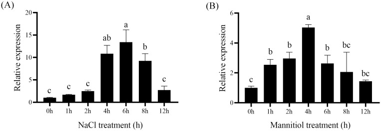 Fig 3