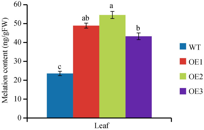 Fig 4