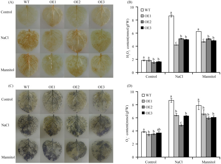 Fig 8