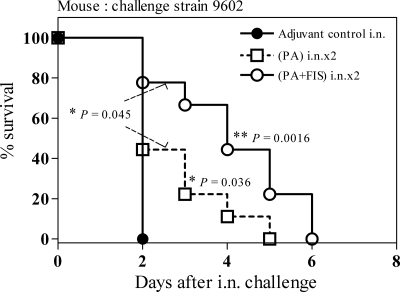 FIG. 2.