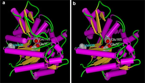 Fig. 10