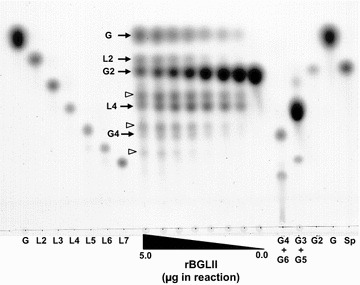 Fig. 4