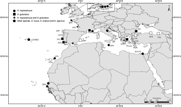 Fig. 1