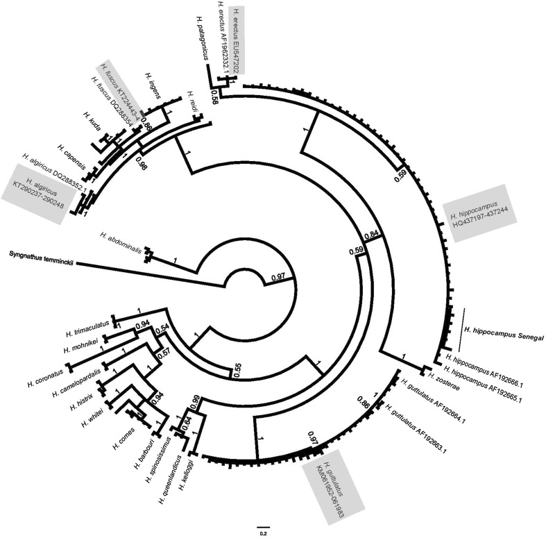 Fig. 2