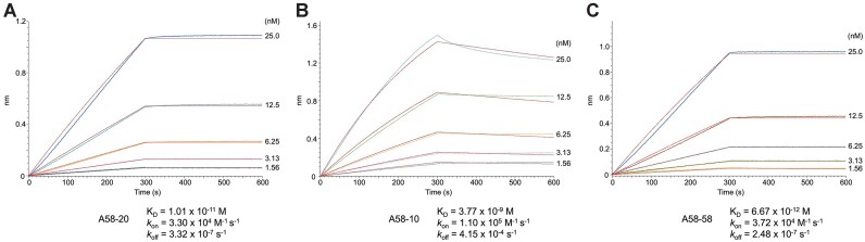 Figure 6.