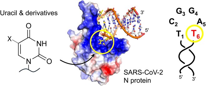 Graphical Abstract