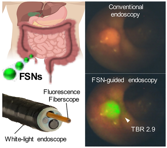 graphic file with name nihms-1054949-f0001.jpg