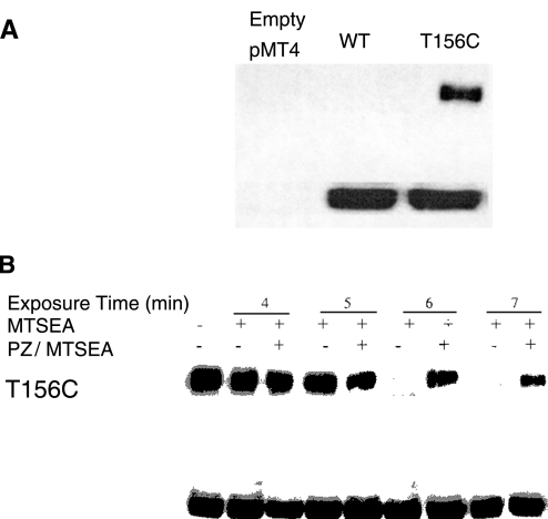 Fig. 10.