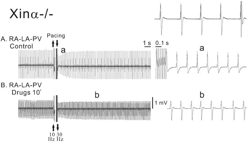 Figure 8