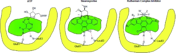 Figure 17
