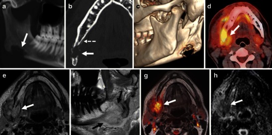 Fig. 8