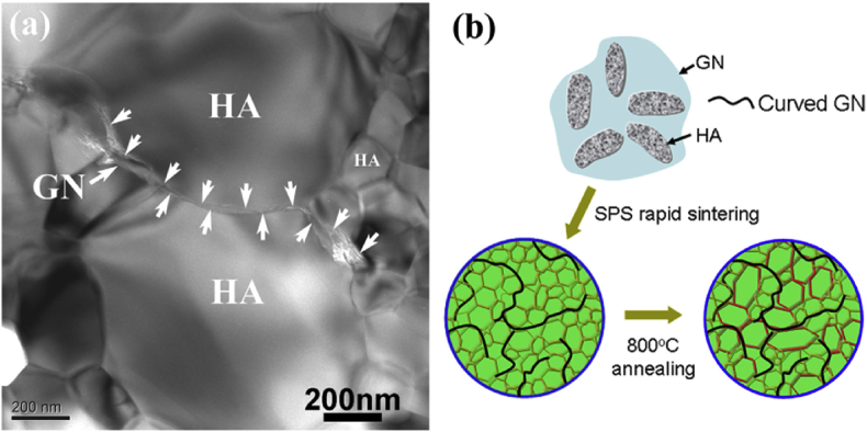 Fig. 12