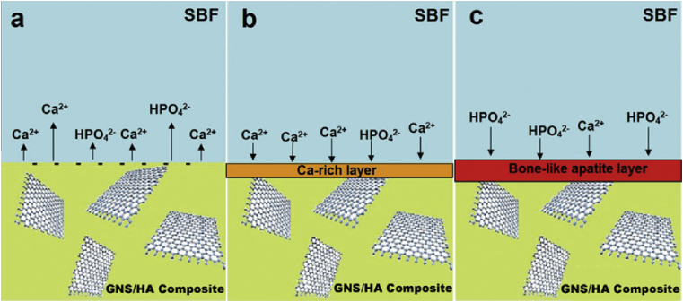 Fig. 15