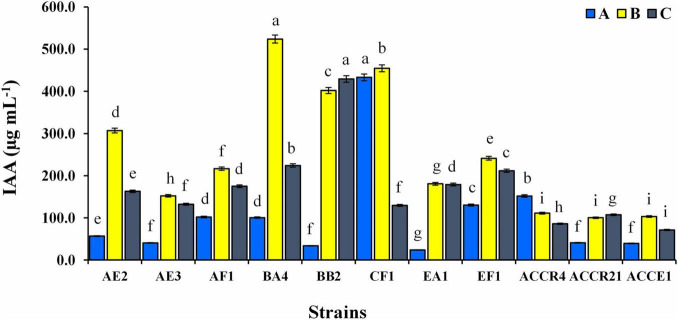 FIGURE 2