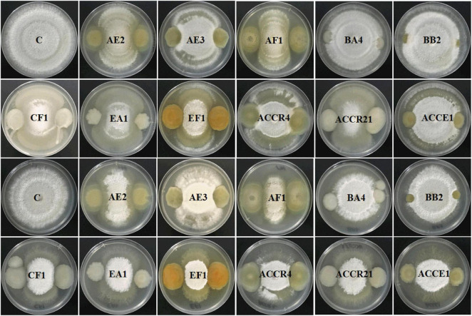 FIGURE 3