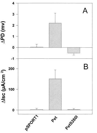 FIG. 6