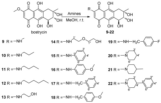 Scheme 2