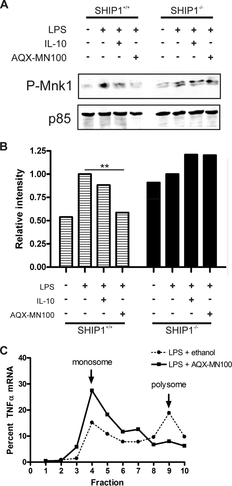 FIGURE 4.