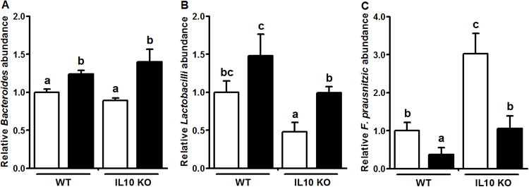 Fig.3