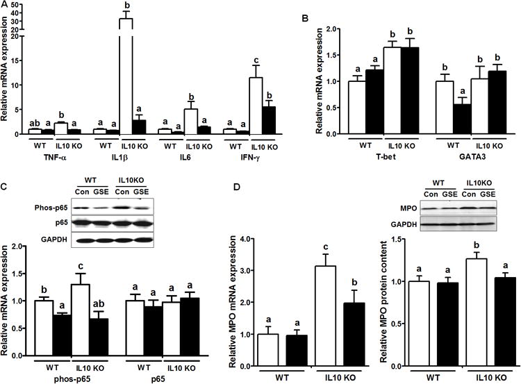 Fig.2