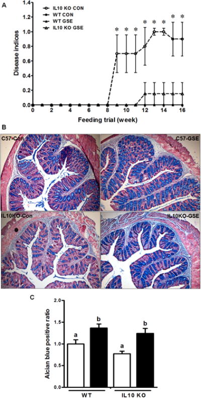 Fig.1