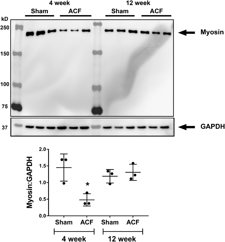 Fig. 11