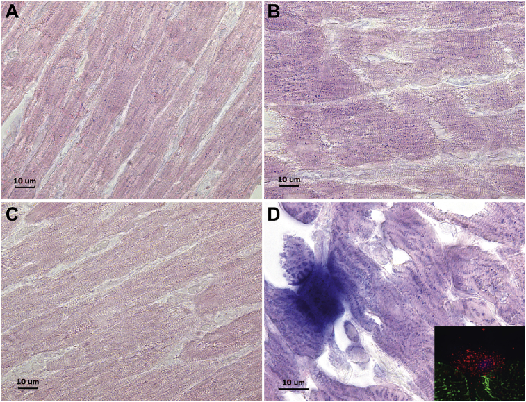 Fig. 7