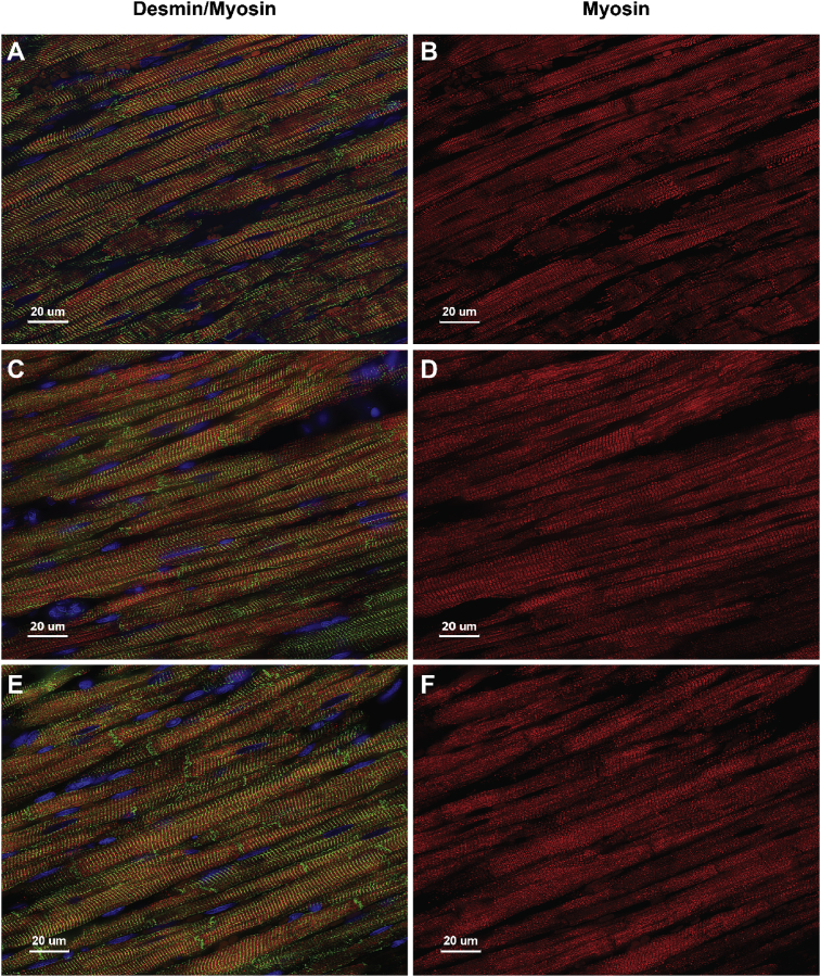 Fig. 10