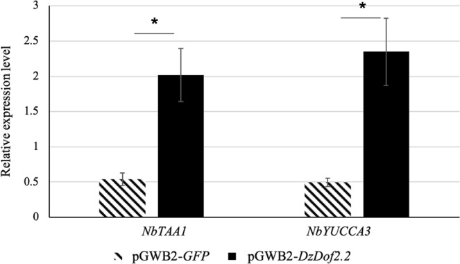 Figure 7