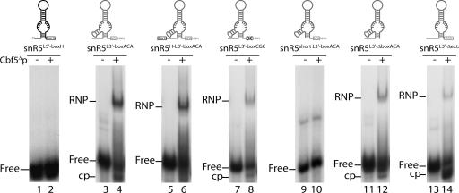 FIGURE 4.