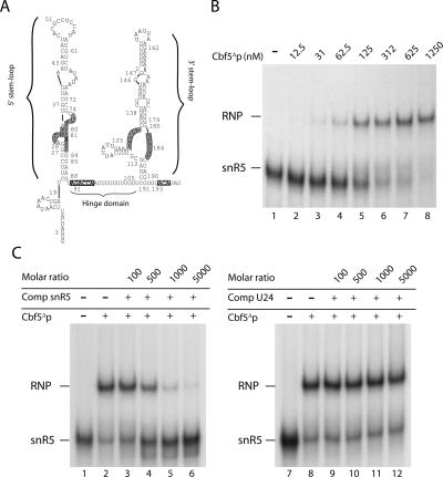 FIGURE 2.