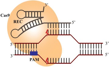 Fig. 3