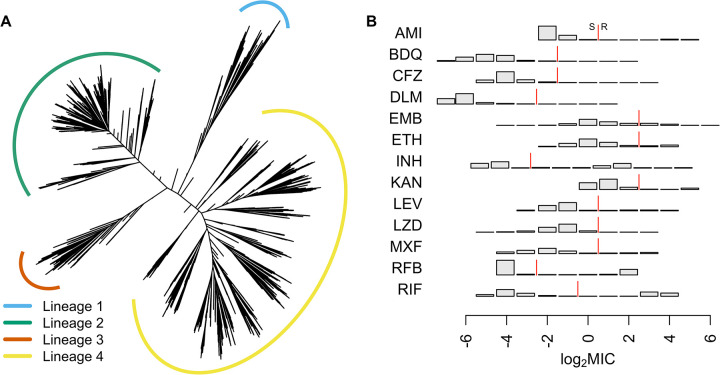 Fig 1