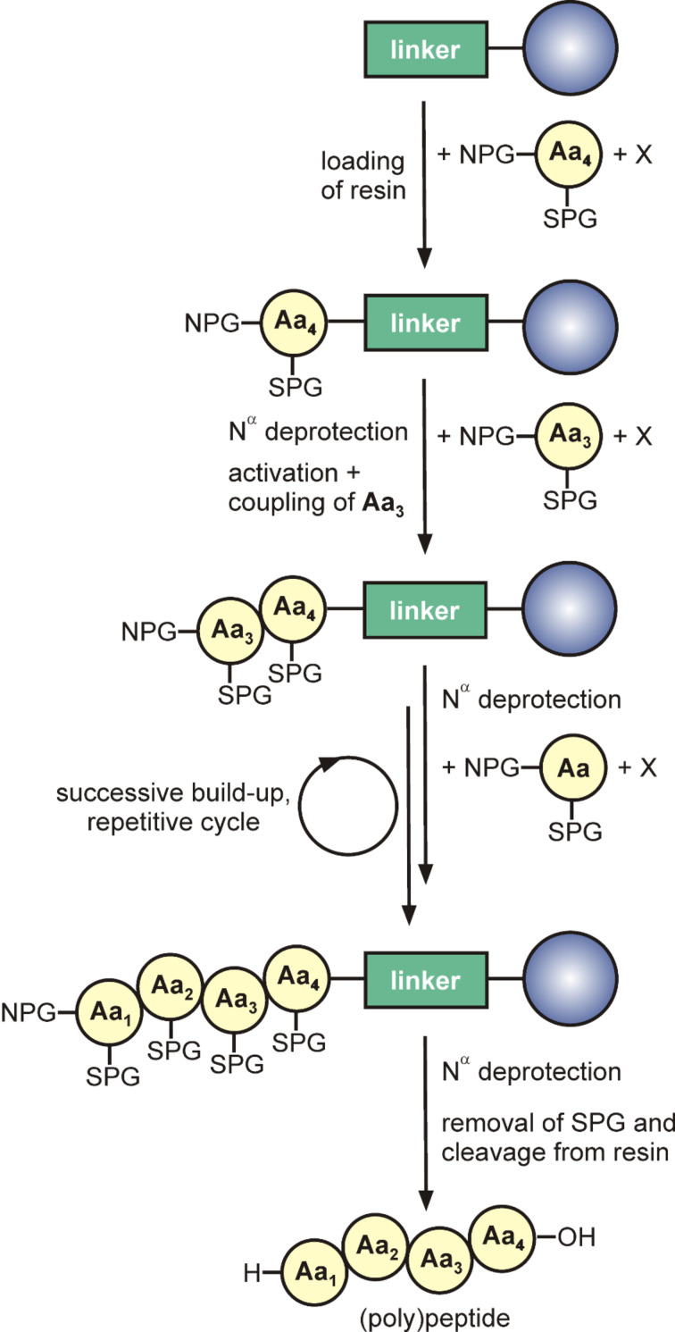 Scheme 2