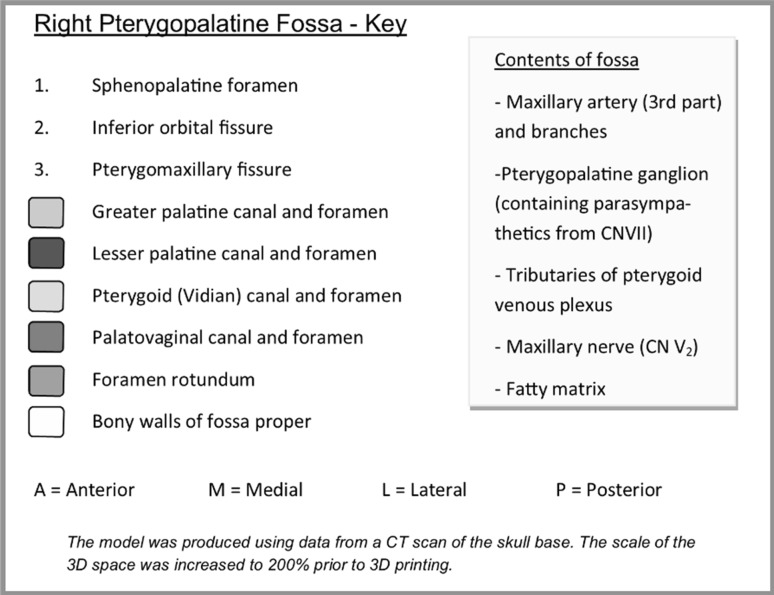 Fig. 6