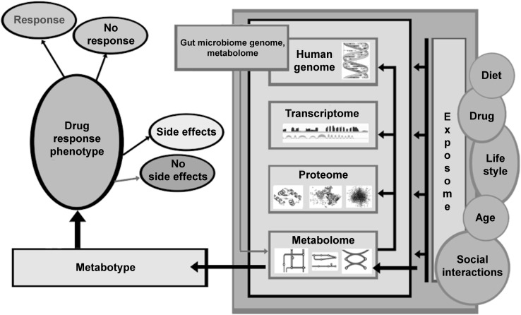 Fig. 1