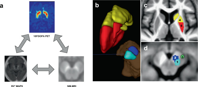 Fig. 1