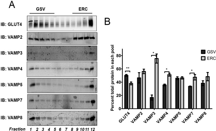 FIGURE 5: