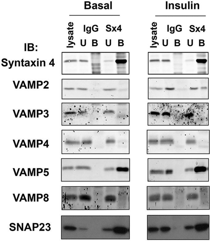 FIGURE 6: