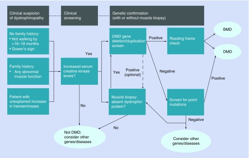 Figure 2. 