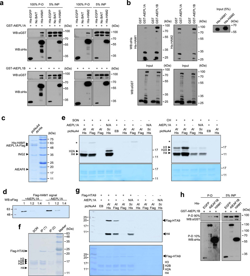 Fig. 4