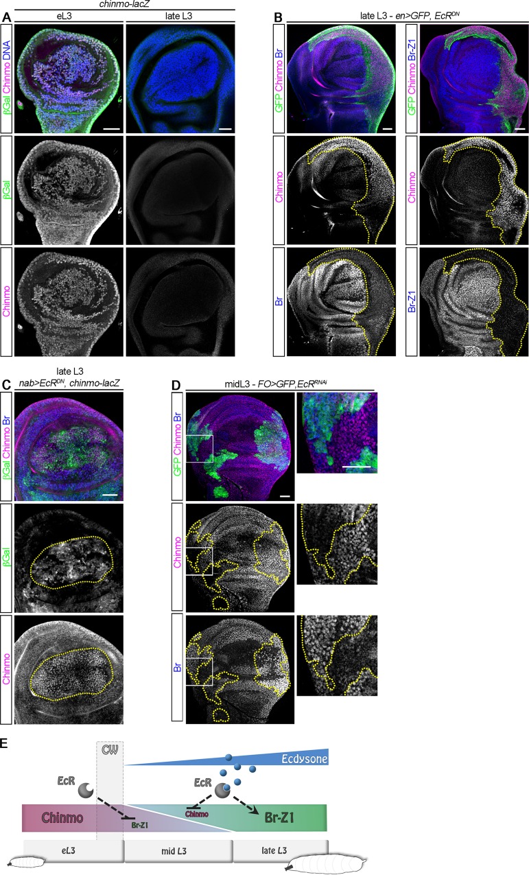 Fig 3