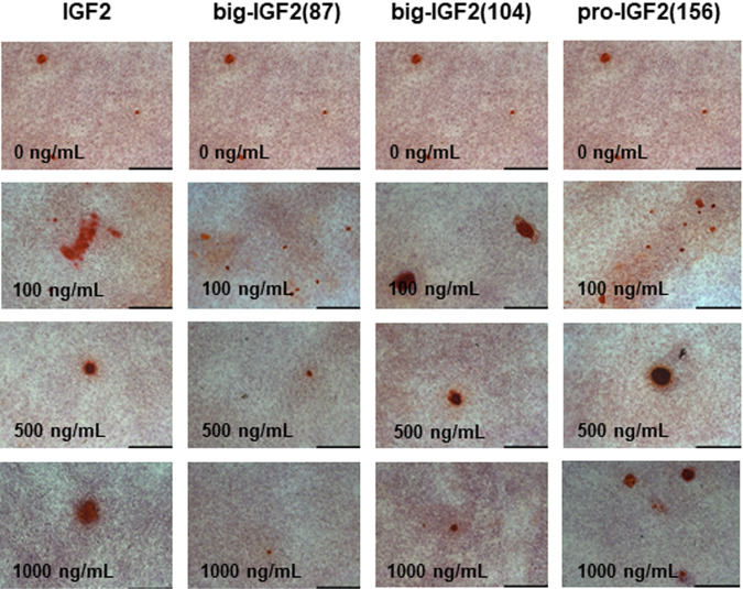 Fig. 9