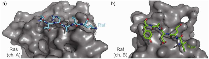 Figure 8