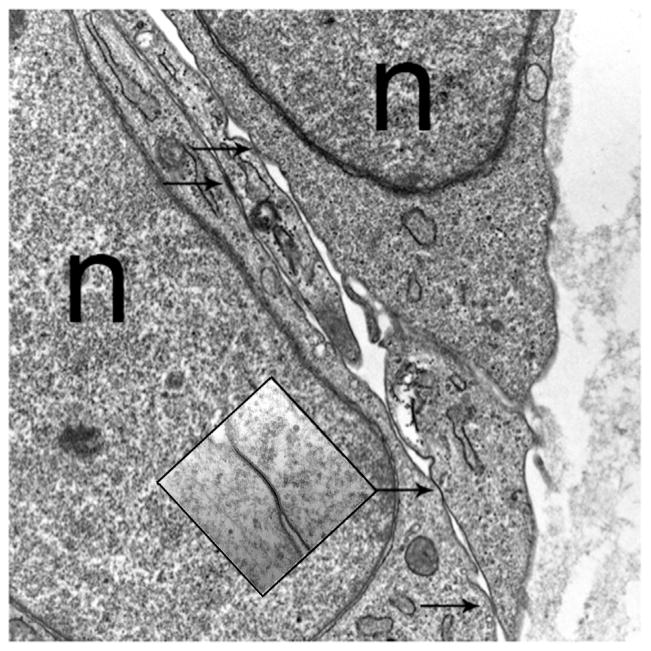 Figure 5.4