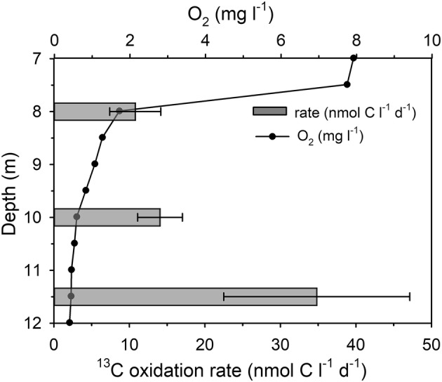 Fig. 5