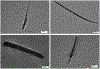 Fig. 8